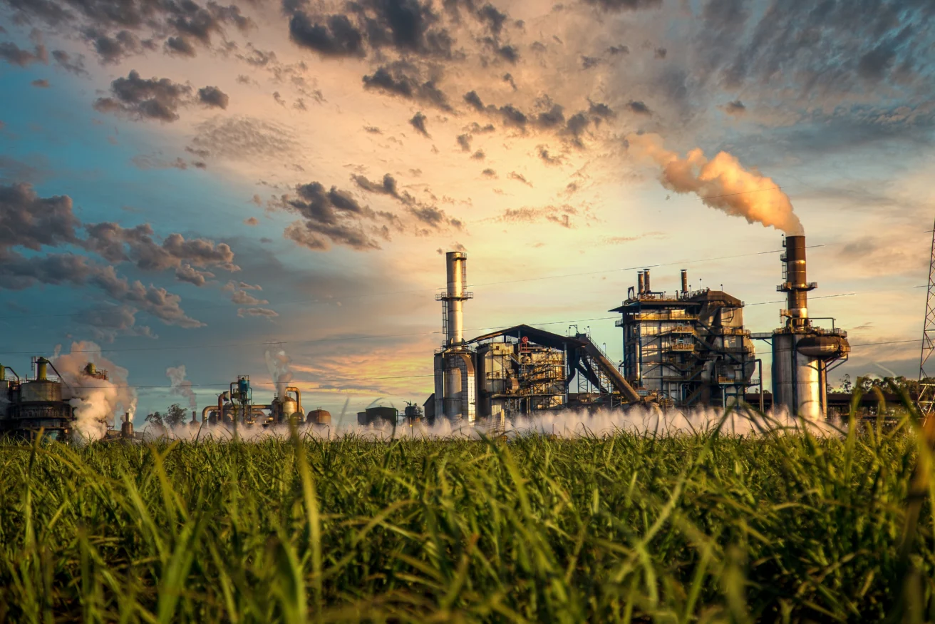An industrial factory emits smoke and steam into the air at sunset, with tall grass in the foreground and a dramatic cloudy sky above.