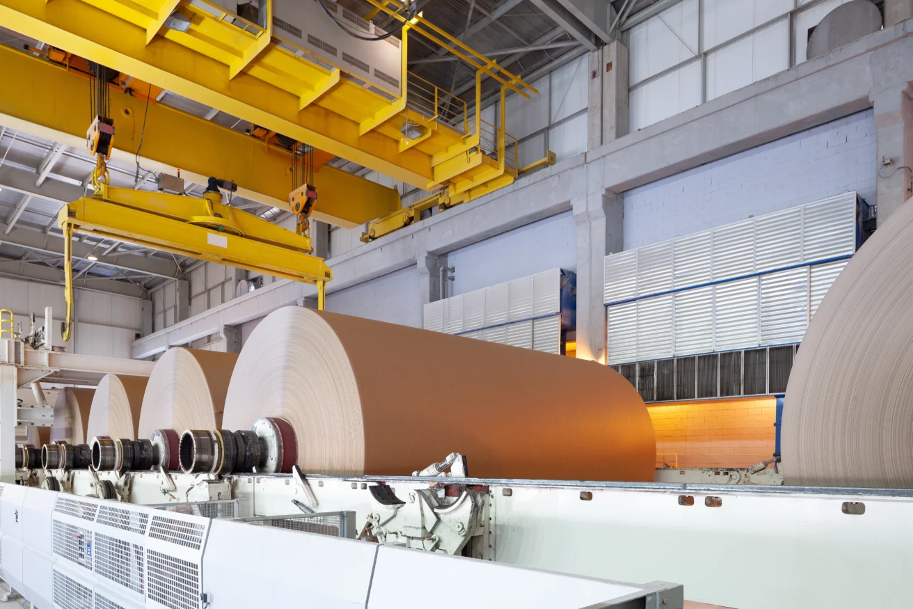 Large rolls of paper on a conveyor system inside an industrial paper manufacturing facility with overhead cranes.