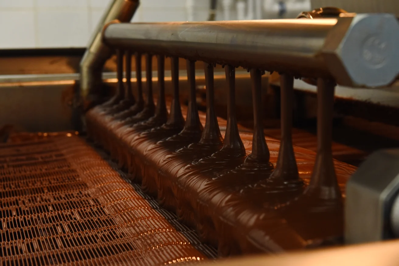 A machine dispenses liquid chocolate in streams onto a conveyor belt in a chocolate production facility.