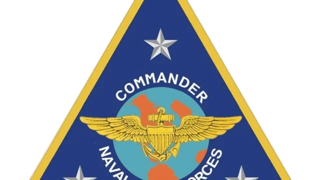 A triangular emblem with a blue border, three silver stars, an eagle and anchor insignia, and the words "Commander Naval Air Forces" over a globe.