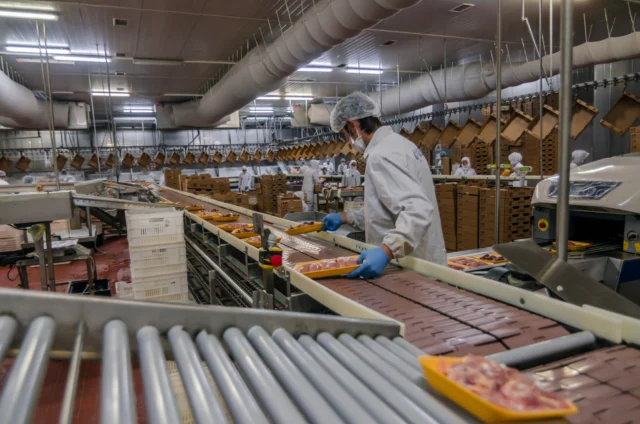 Workers at assembly line in chicken meat plant.